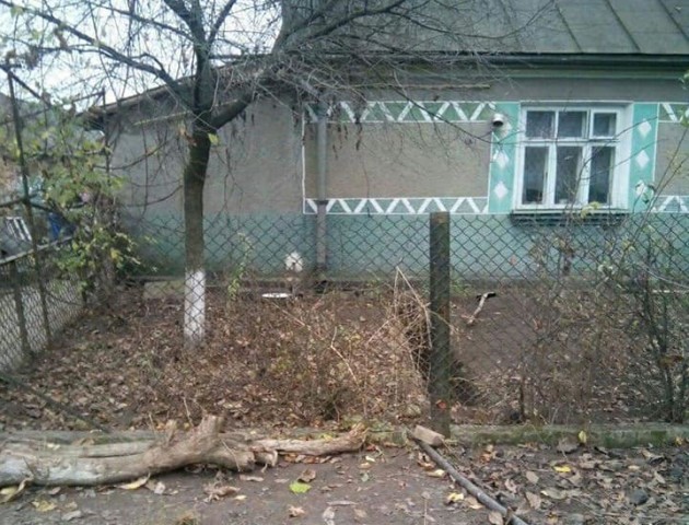 У Луцьку люди зливали нечистоти на дорогу. ФОТО