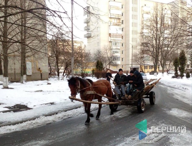 Луцьком їздила підвода, збираючи «корисні речі» зі смітників. ВІДЕО