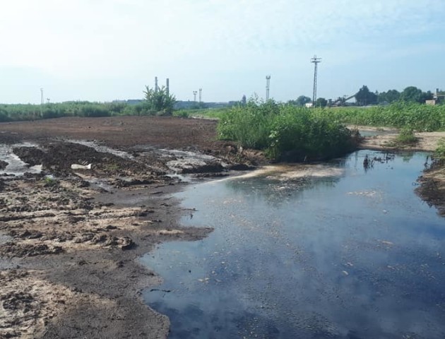 У Луцьку виявили ще одне ймовірне джерело смороду. ФОТО