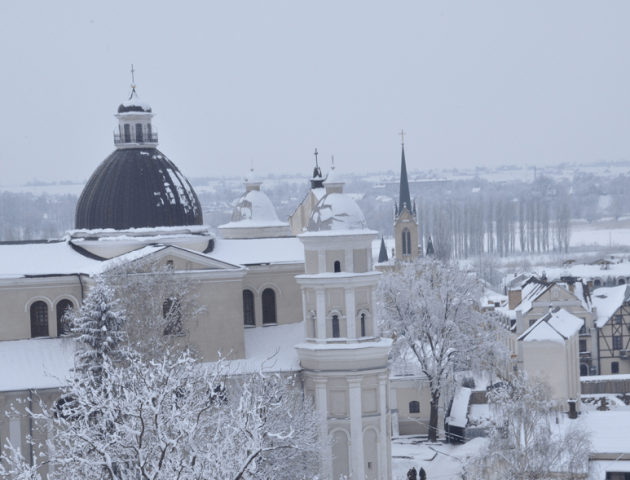 План Луцька має затвердити неіснуюча комісія