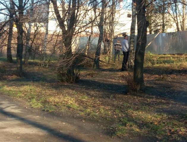 Луцькі водії маршруток замість вбиралень ходять до берези. ФОТО