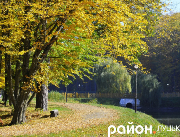 Краса та спокій: золота осінь у Воротневі. ВІДЕО