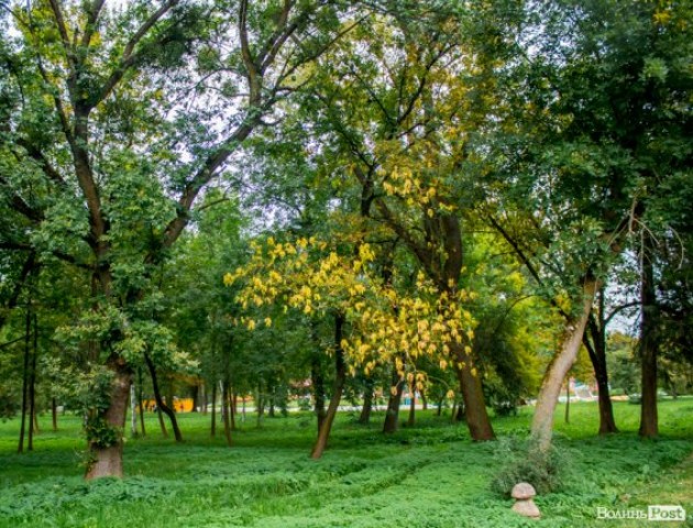 Осінь у центральному парку Луцька. ФОТО