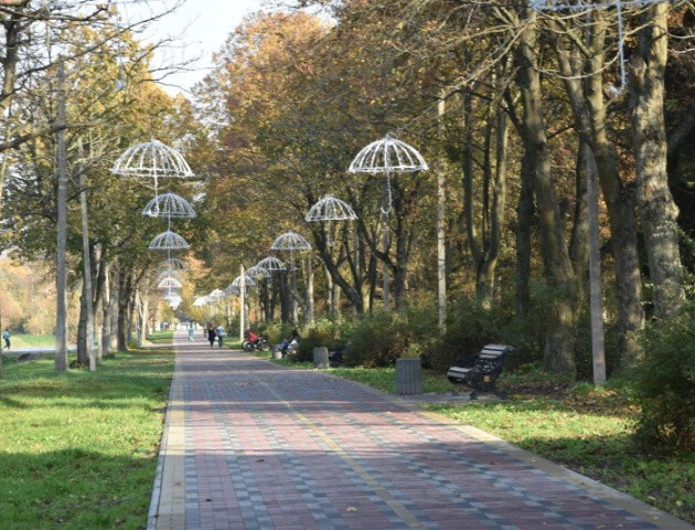 У Луцьку власник літнього майданчика зробив каналізацію в парку