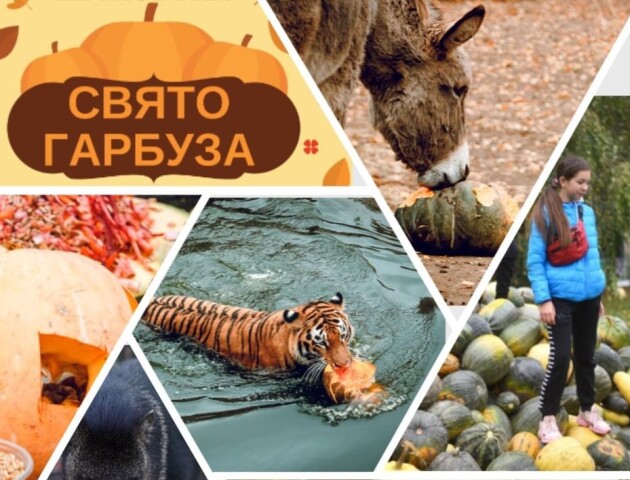 У Луцькому зоопарку організовують свято гарбуза