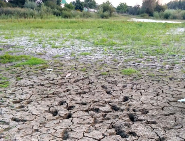 Неподалік Луцька висохло озеро. ФОТОФАКТ
