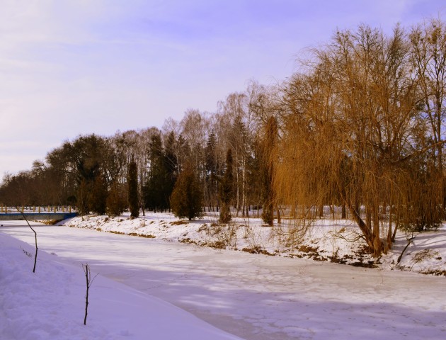 Зимові світлини в дні весни у Луцькому парку (ФОТО)