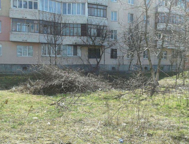 Голова луцького ОСББ відмовляється прибирати зрізані гілки