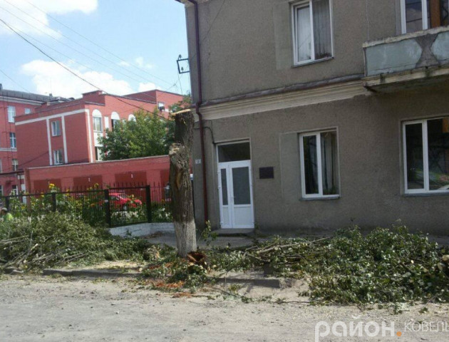 У волинському місті комунальники масово зрізають дерева. ФОТО