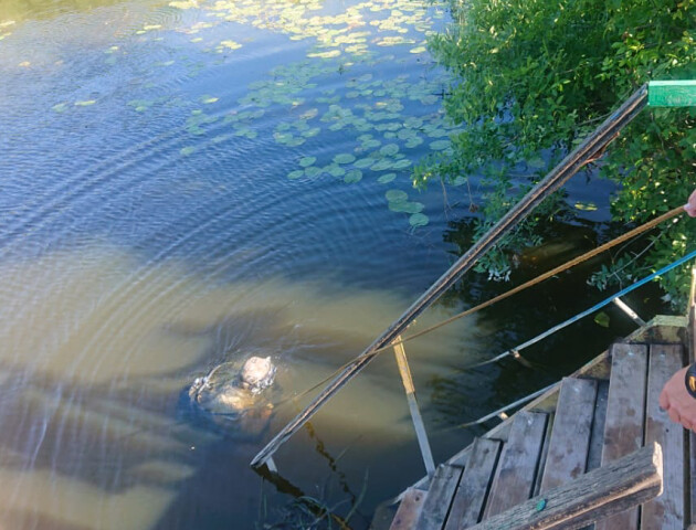 У річці на Волині втопився чоловік