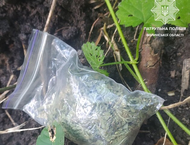 У Ковелі в чоловіків знайшли наркотики