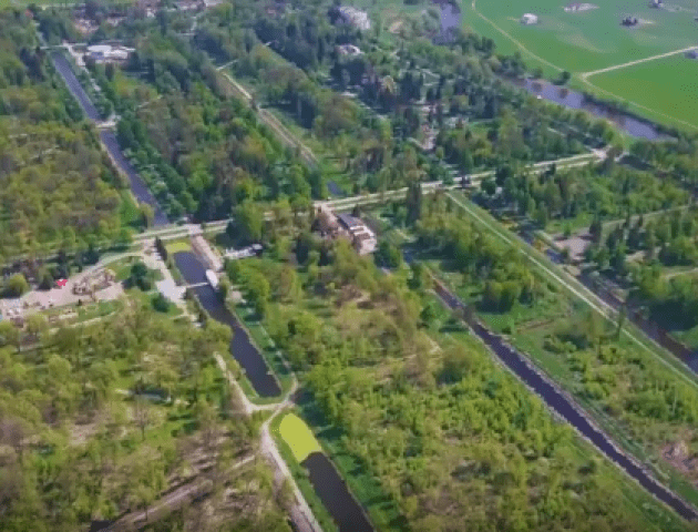 Луцький парк заростає кропивою. ВІДЕО