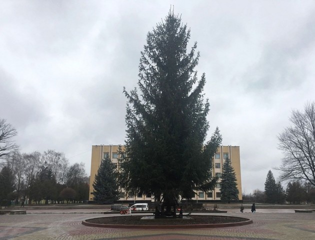 У Нововолинську встановили новорічну ялинку. ФОТО