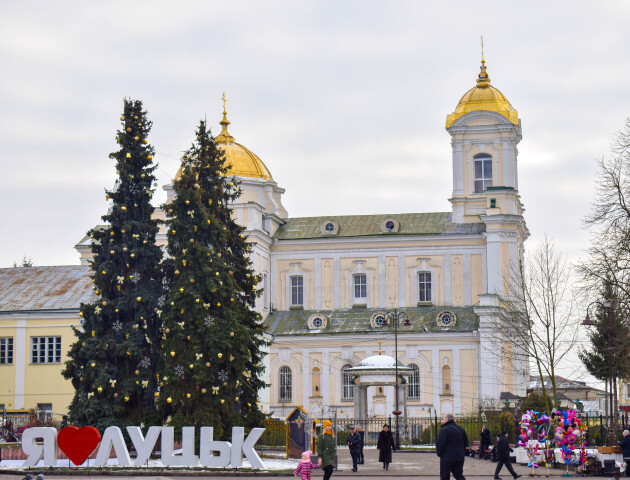 На Театральному майдані Луцька шукають місце для висадки нової новорічної ялинки
