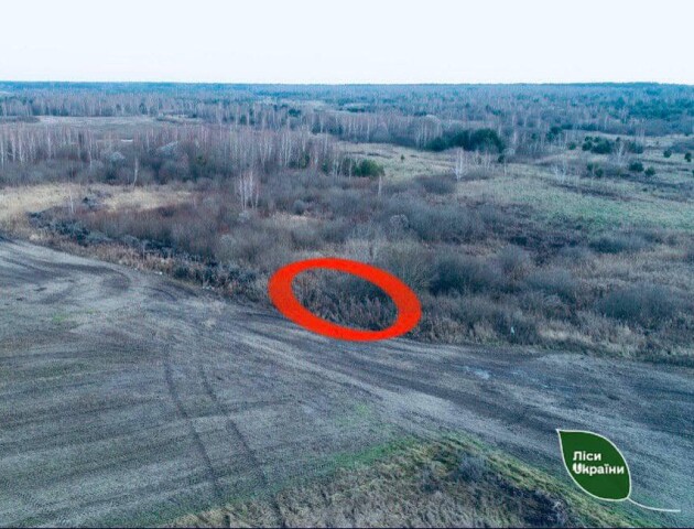 На Волині камери зафіксували, як браконьєри застрелили самця козулі. ФОТО