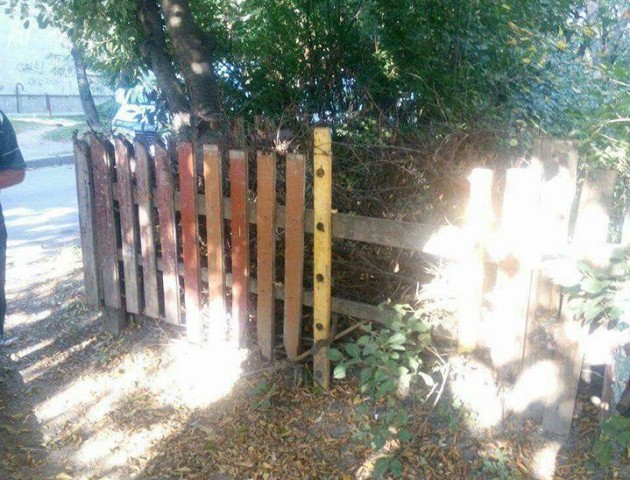 Розвели під вікнами чагарники: у Луцьку муніципали зносять паркани біля багатоповерхівок. ФОТО