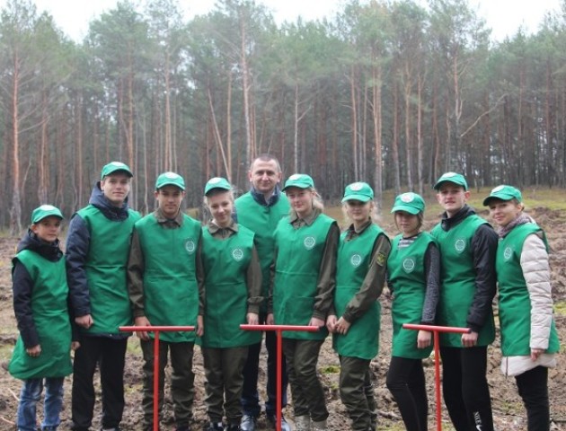 На Волині школярі за день висадили майже півтора гектара лісу. ФОТО, ВІДЕО