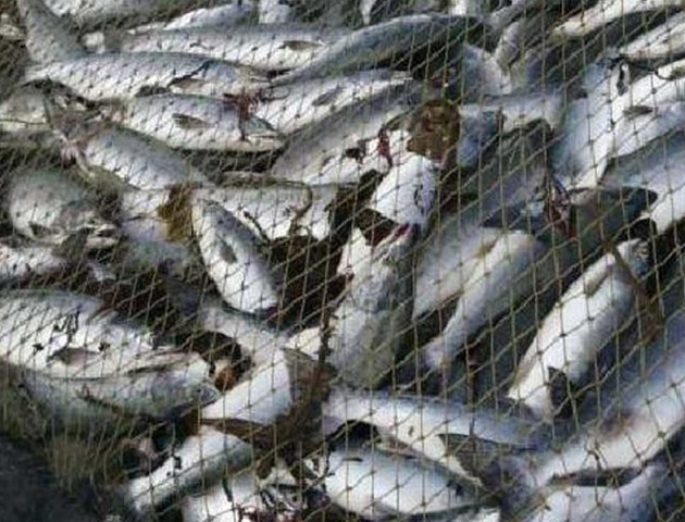 За рік у Шацькому нацпарку оштрафували браконьєрів на 17 тисяч гривень