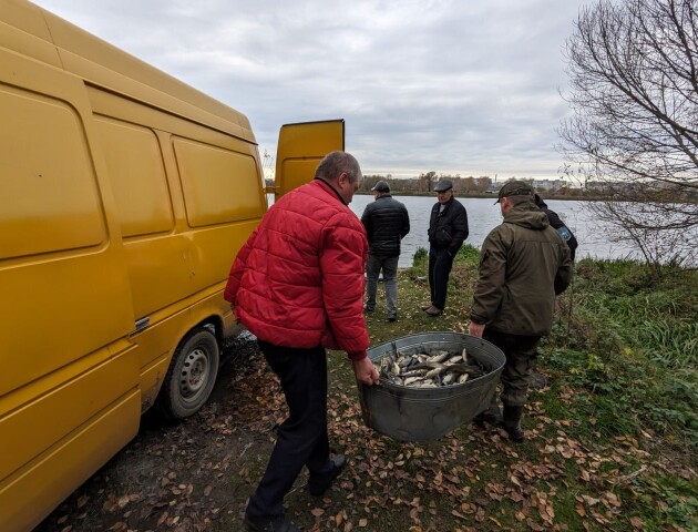 У водосховище на Волині випустили майже 500 кілограмів риби