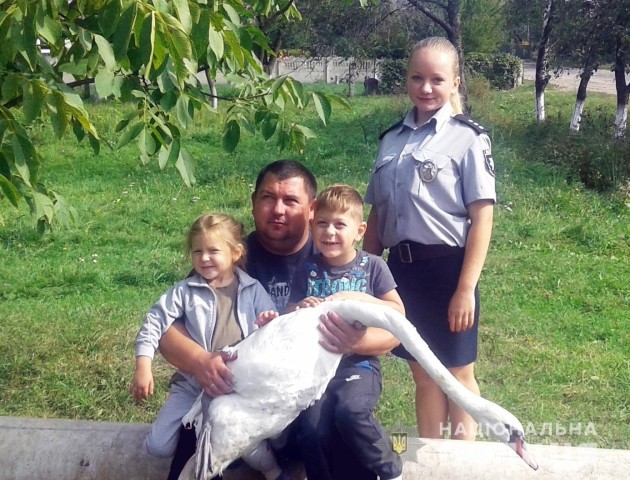 Волинський поліцейський врятував лебедя