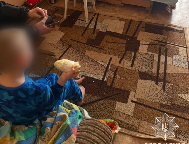 У Луцьку дитина нажалілась поліції на п'яну матір