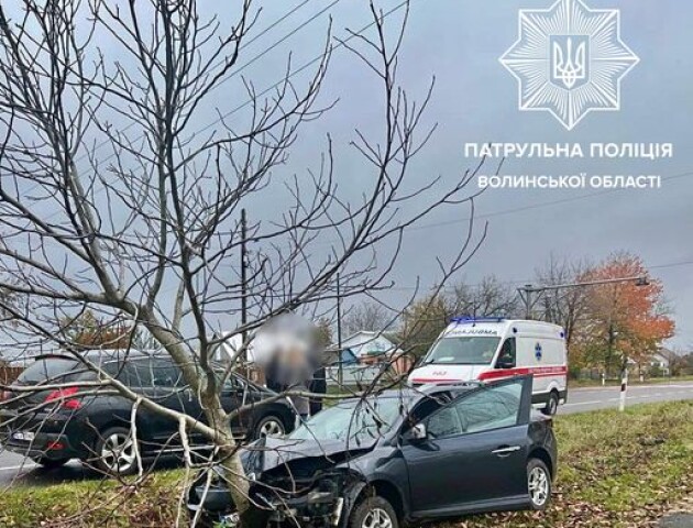 У Торчині водій врізався в дерево
