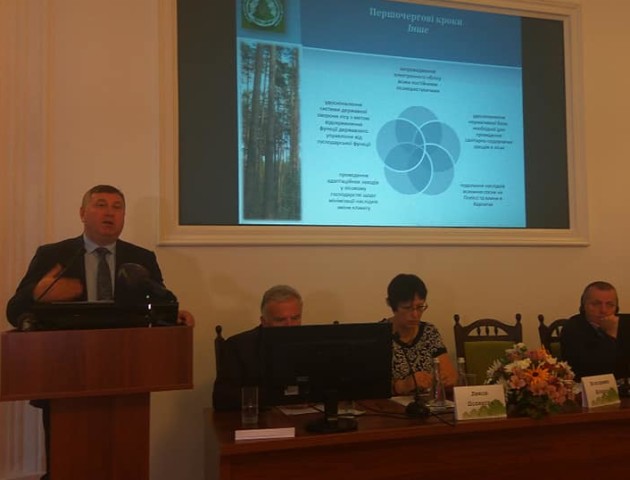 В Україні хочуть створити Фонд розвитку лісового господарства