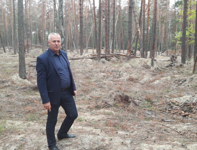 В Маневицькому районі розквітає видобуток та підпільна обробка бурштину
