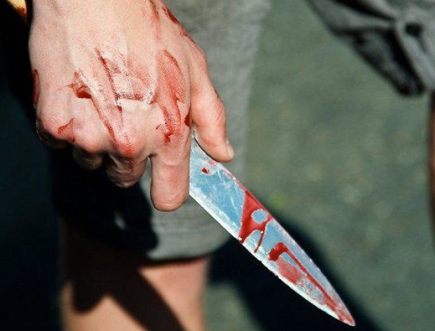 У Луцьку засудили чоловіка, який убив співмешканку