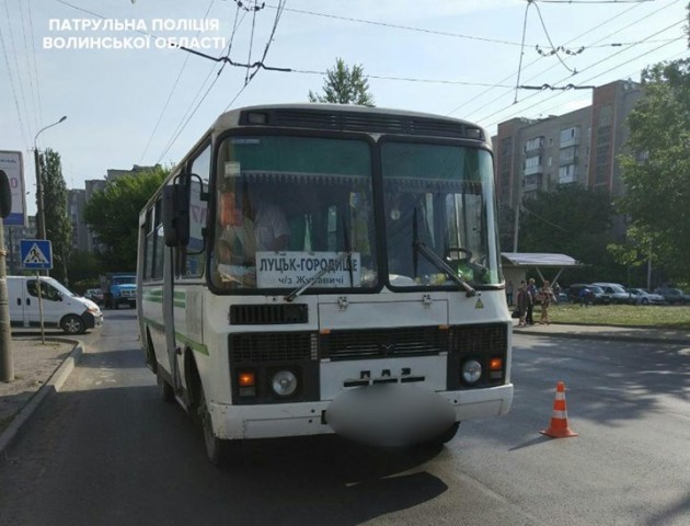 У дівчини, яку збила на переході маршрутка, - тріщина черепа та крововилив