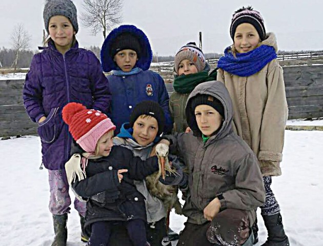 Багатодітна родина з Волині врятувала лелеку