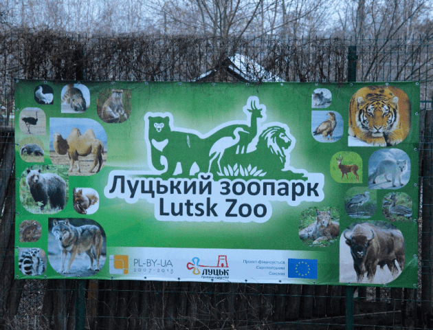 Луцькі медики передадуть зоопарку автівку
