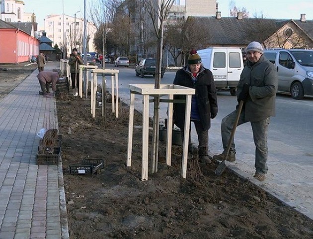 У Ковелі з'явиться алея сакур