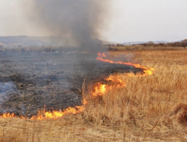Волинян попереджають про високий ризик виникнення пожеж в області