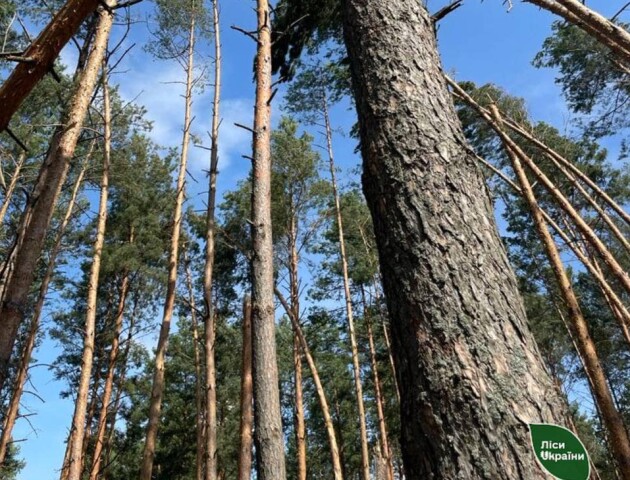 На Камінь-Каширщині долатимуть наслідки негоди, яка завдала лиха місцевим