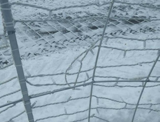 У центрі Луцька вандали пошкодили новорічну кулю. ФОТО