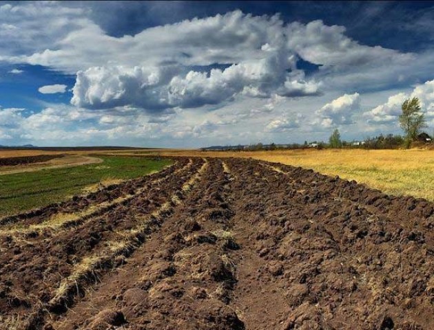 Землі державної власності передали місцевим громадам