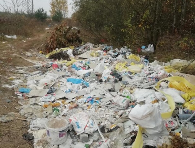 «Обурює таке «свинство»: ліс поблизу Луцька закидали сміттям. ФОТО