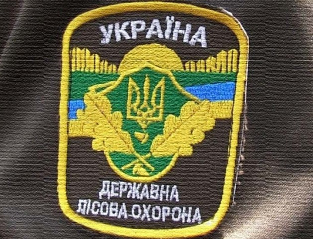 У волинському лісі вкрали деревини на 80 тисяч гривень