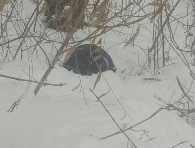 У Луцьку врятували чоловіка, який ледь не замерз у снігу