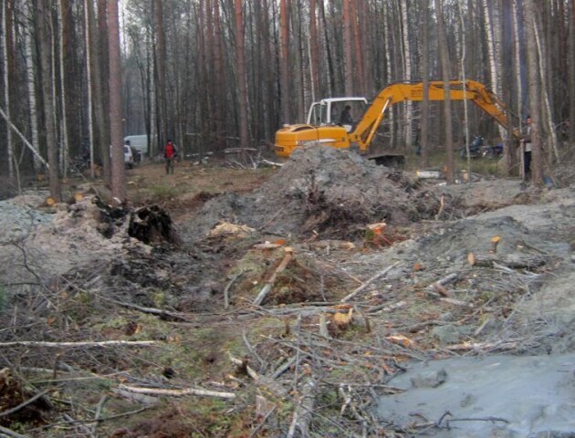 Зеленський підписав закон про легалізацію бурштину