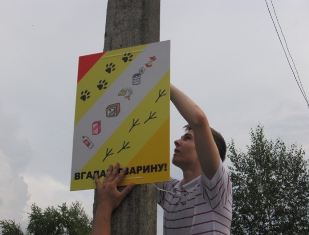 Вгадай тварину: у місті на Волині встановили оригінальні таблички. ФОТО