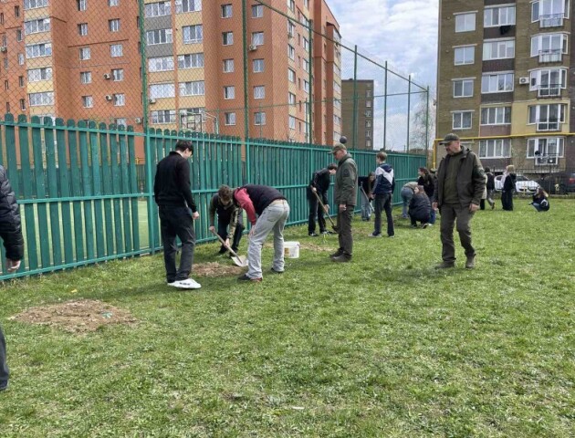 Біля луцького ліцею №27 висадили дуби Шевченка