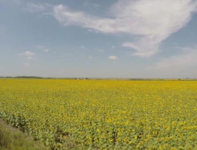 На Волині фермер повернув державі незаконно захоплені 18 гектарів землі