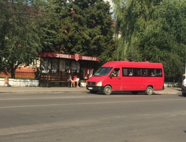 У Ковелі відмінили маршрутку, яка їхала до дач