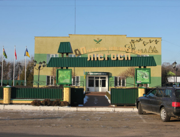 Лісогосподарство на Волині сплатило майже 12 мільйонів гривень податків