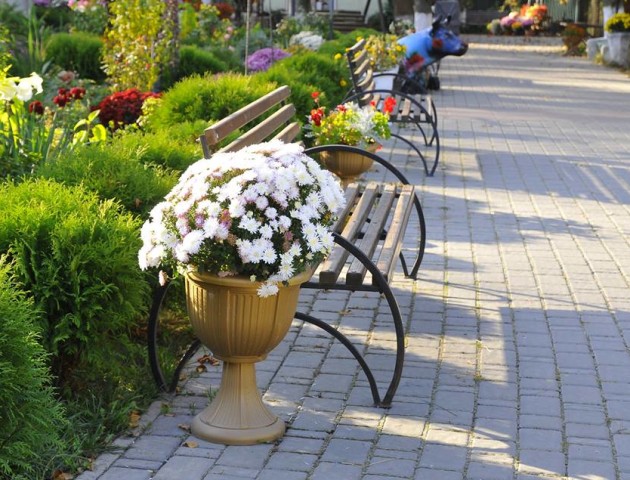 «У нас – і на природі, і в межах міста», – Луцький зоопарк. ФОТО