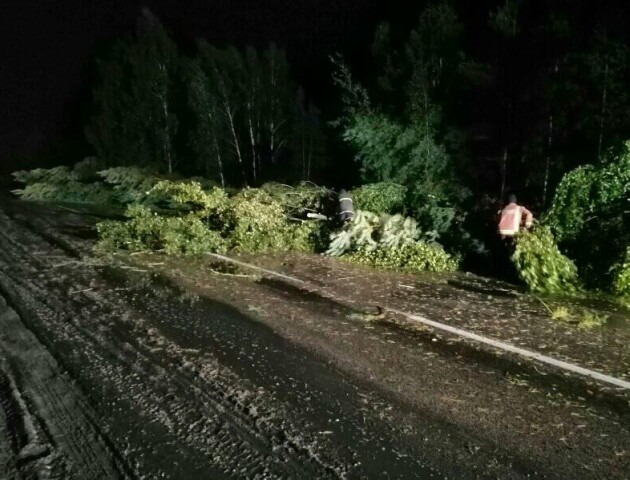 Пожежі та повалені дерева: Волинню пронісся буревій. ФОТО