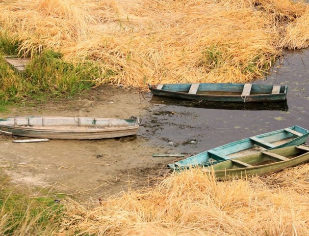 Осінні пейзажі Волинської височини та Хрінницького водосховища. ФОТО