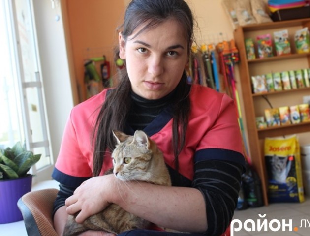 «Залізний би зламався»: просять допомогти луцькій ветеринарці-волонтерці